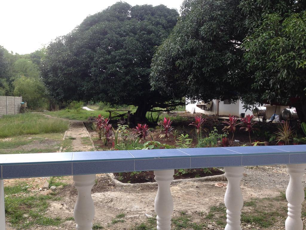 Mangoes Place Moalboal Luaran gambar